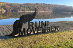Movember-low